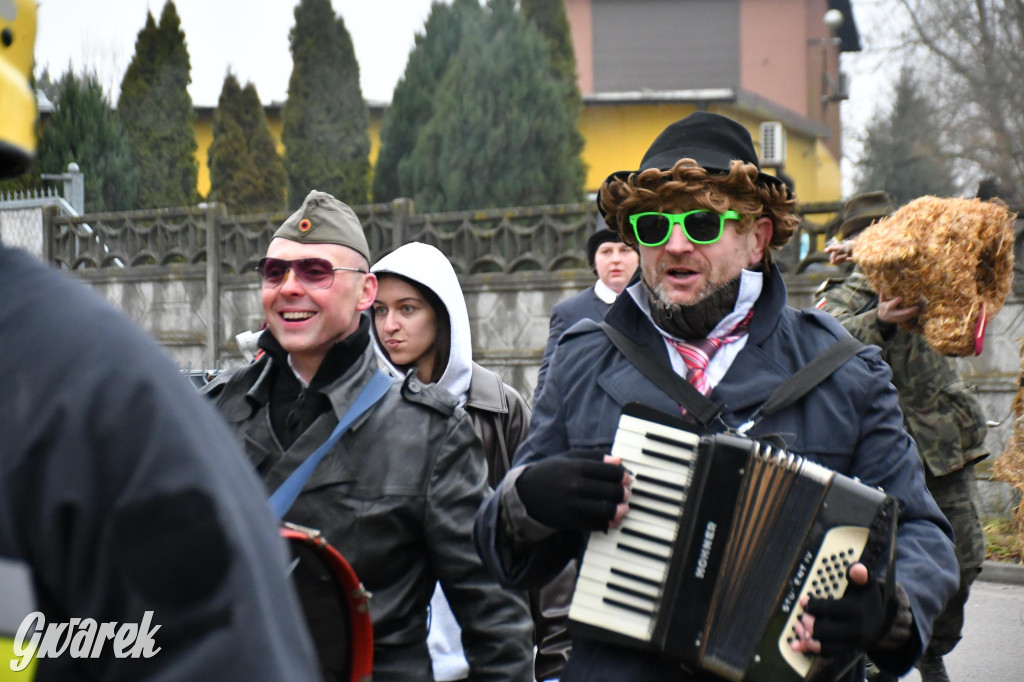 Z berem przez Miedary. Wodzenie niedźwiedzia 2026