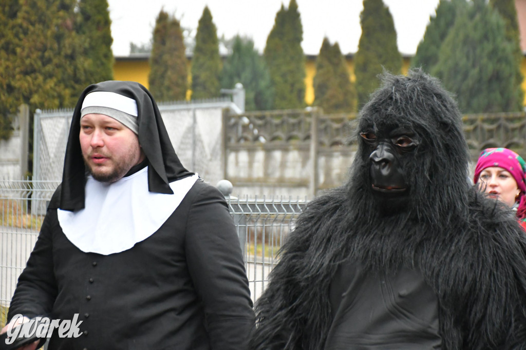 Z berem przez Miedary. Wodzenie niedźwiedzia 2026