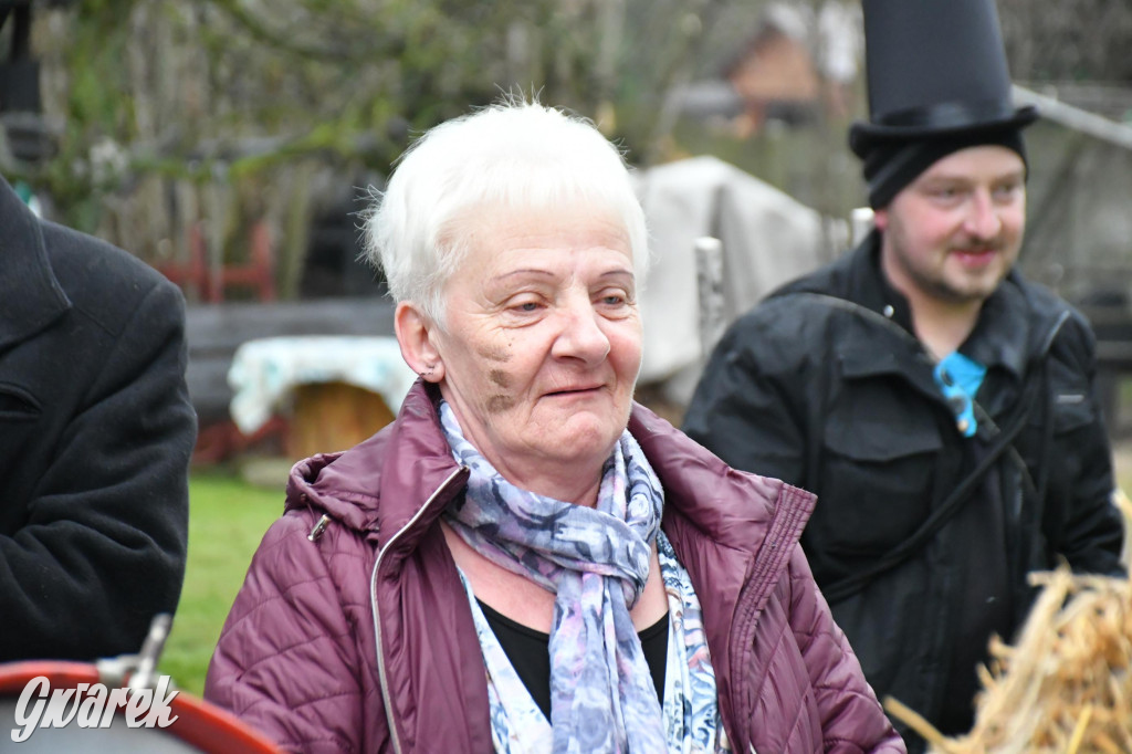 Z berem przez Miedary. Wodzenie niedźwiedzia 2026