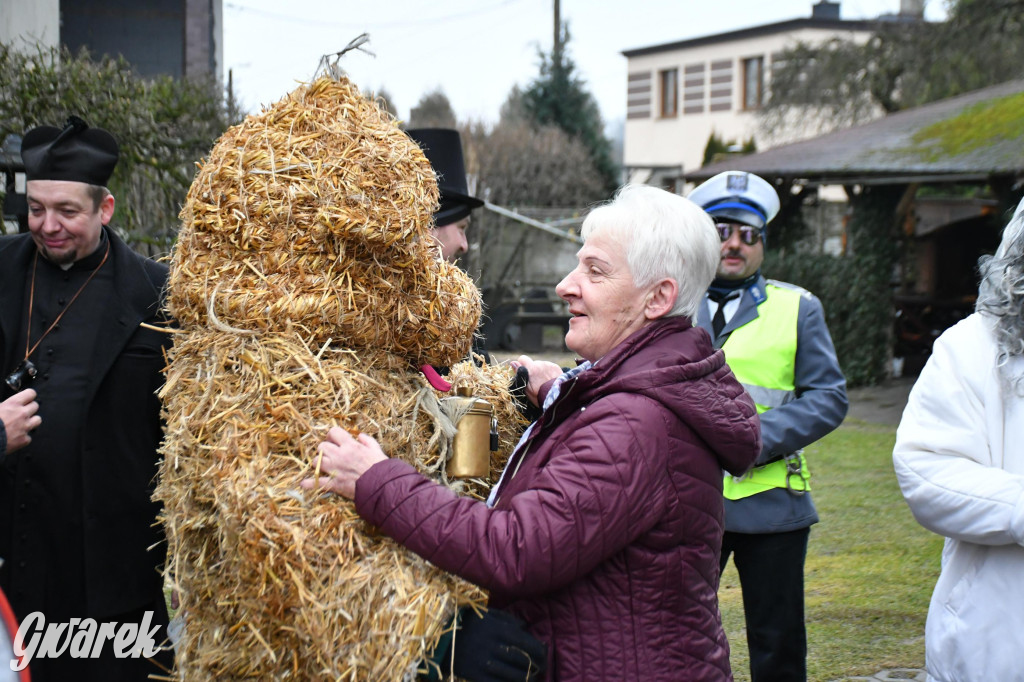 Z berem przez Miedary. Wodzenie niedźwiedzia 2026