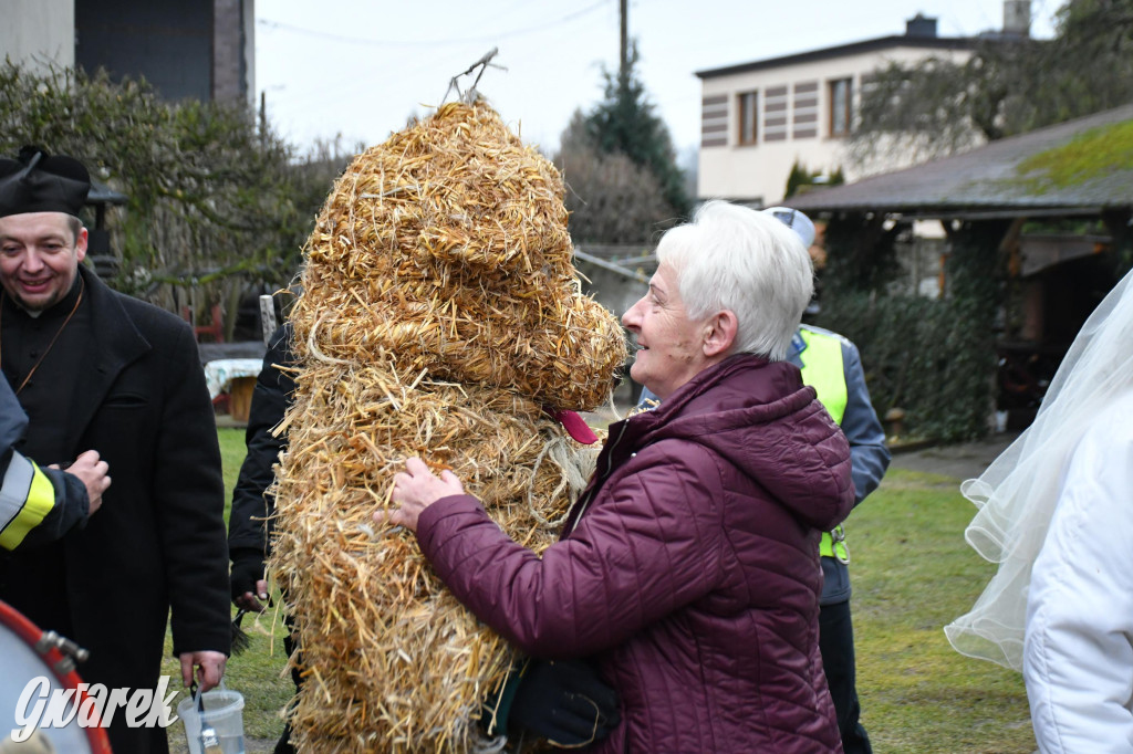 Z berem przez Miedary. Wodzenie niedźwiedzia 2026