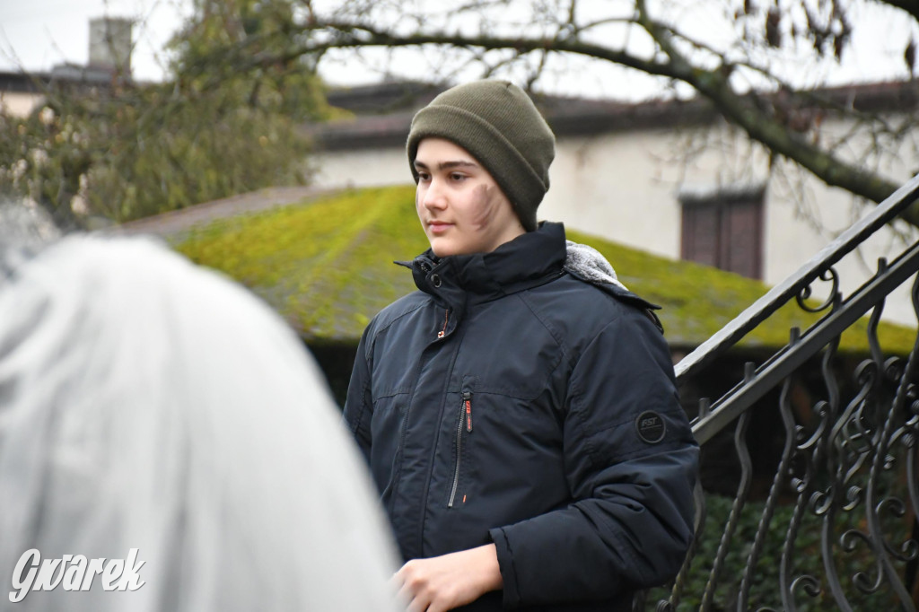 Z berem przez Miedary. Wodzenie niedźwiedzia 2026