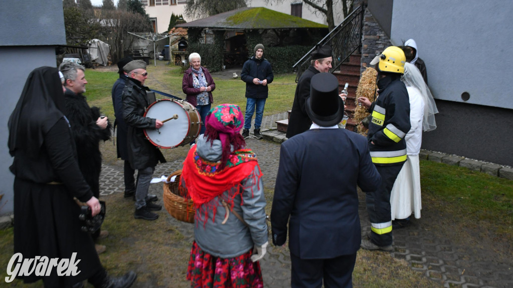 Z berem przez Miedary. Wodzenie niedźwiedzia 2026