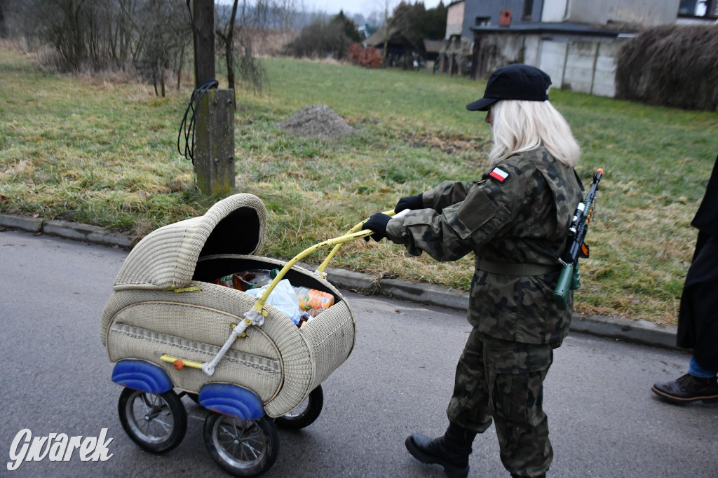 Z berem przez Miedary. Wodzenie niedźwiedzia 2026