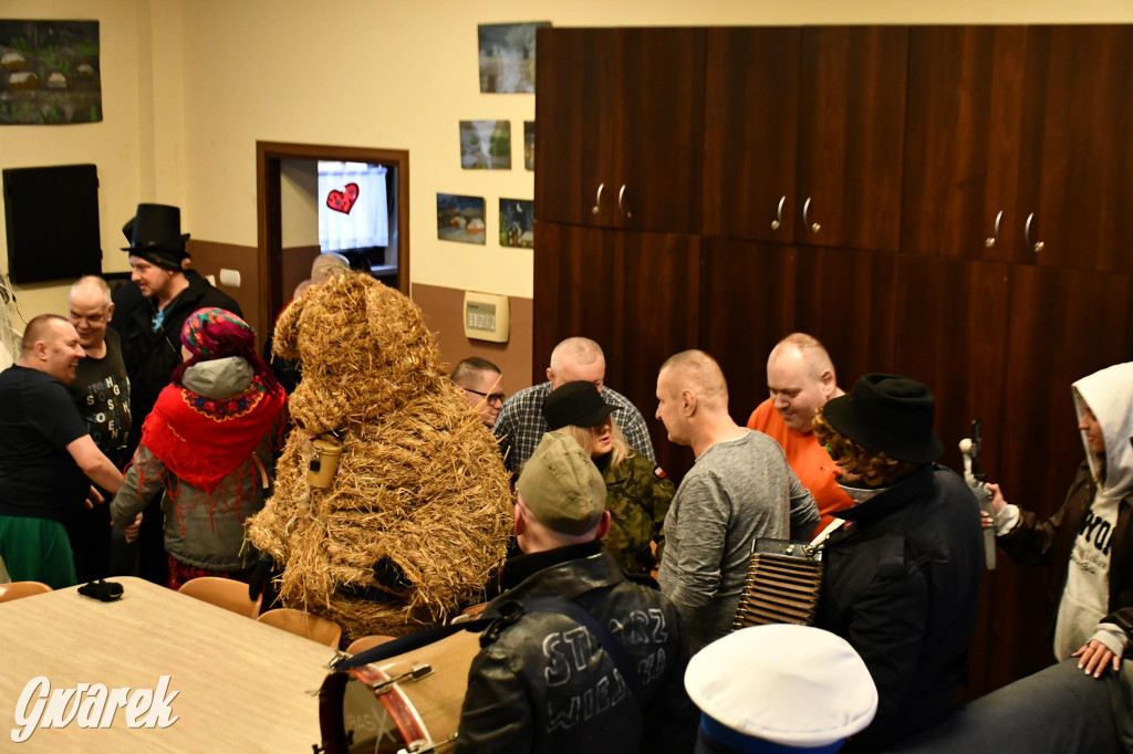 Z berem przez Miedary. Wodzenie niedźwiedzia 2026