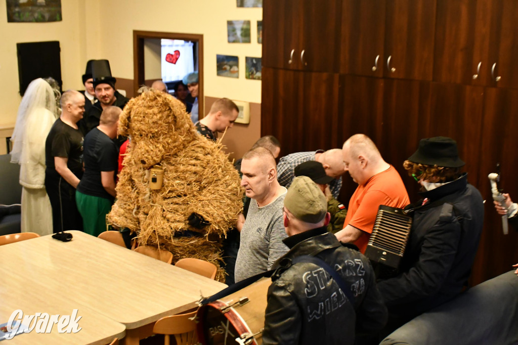 Z berem przez Miedary. Wodzenie niedźwiedzia 2026