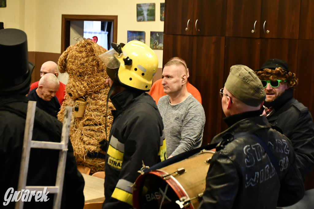 Z berem przez Miedary. Wodzenie niedźwiedzia 2026