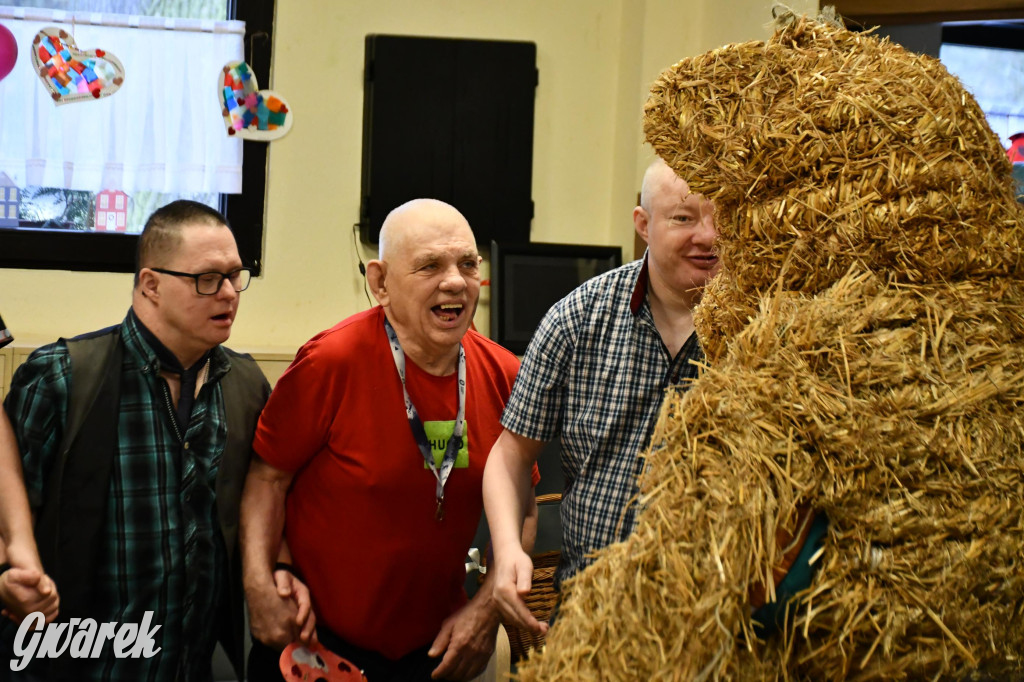 Z berem przez Miedary. Wodzenie niedźwiedzia 2026