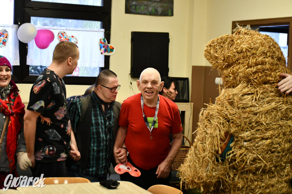 Z berem przez Miedary. Wodzenie niedźwiedzia 2026