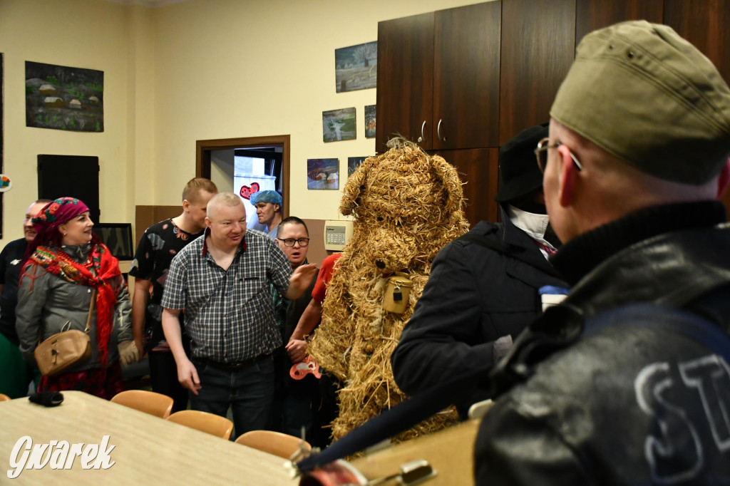 Z berem przez Miedary. Wodzenie niedźwiedzia 2026