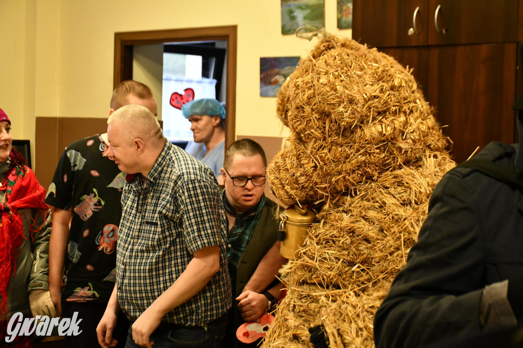 Z berem przez Miedary. Wodzenie niedźwiedzia 2026