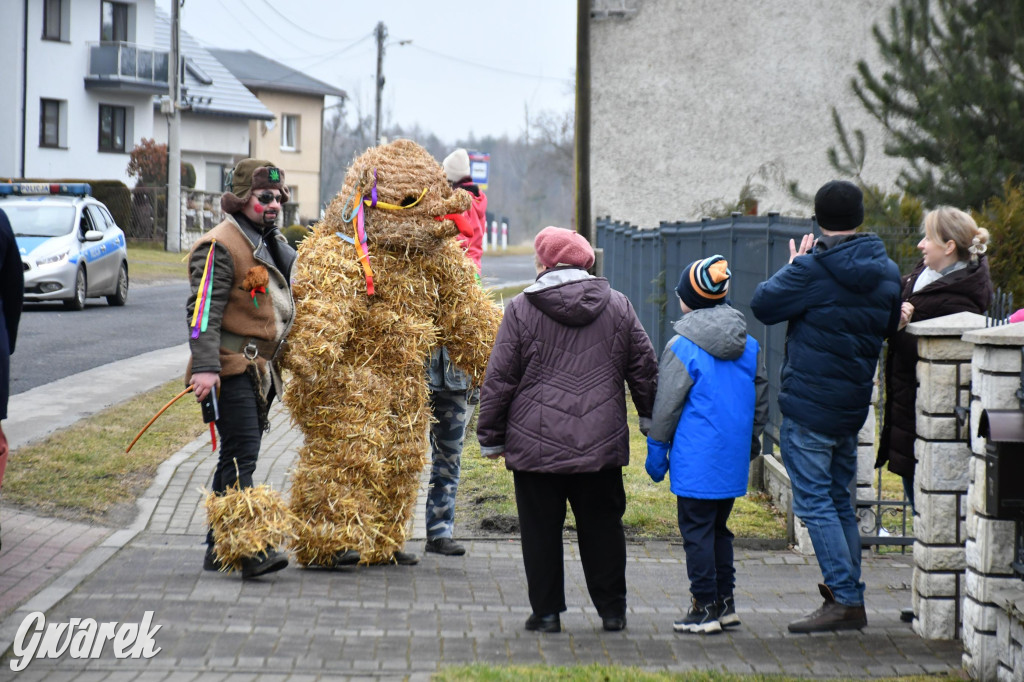 Wojska: Niedźwiedź, korowód i koniec karnawału