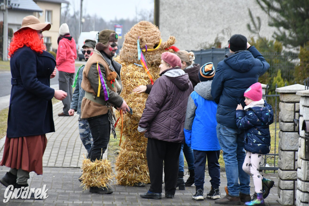 Wojska: Niedźwiedź, korowód i koniec karnawału