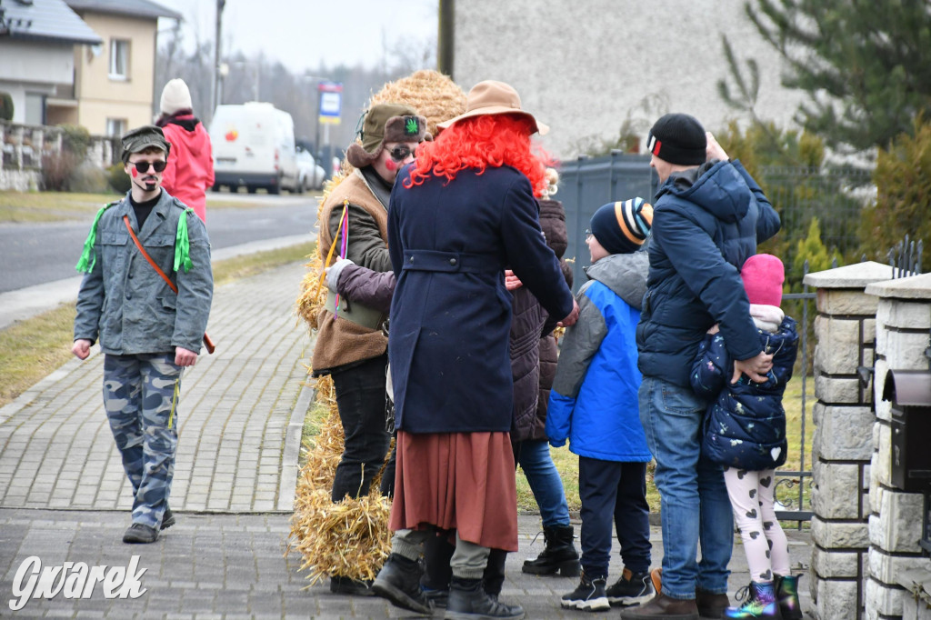 Wojska: Niedźwiedź, korowód i koniec karnawału