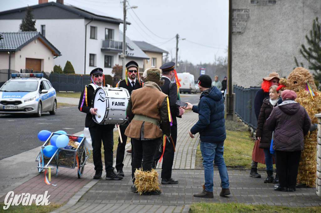 Wojska: Niedźwiedź, korowód i koniec karnawału
