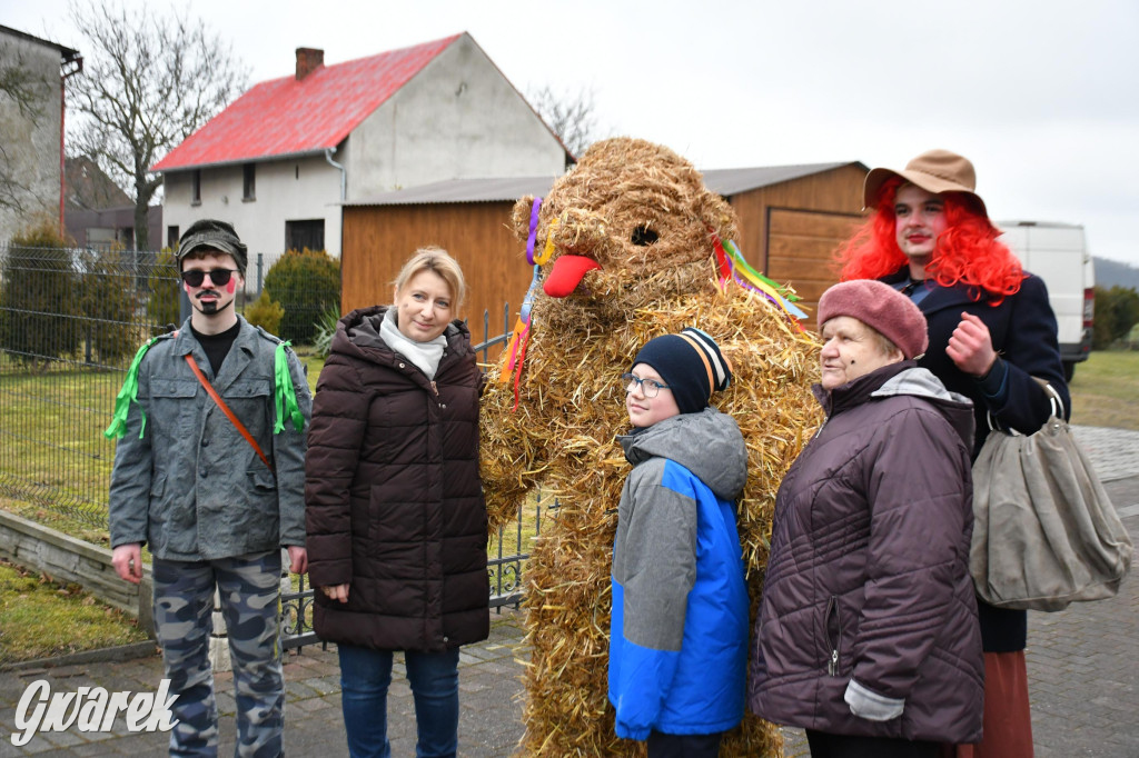Wojska: Niedźwiedź, korowód i koniec karnawału