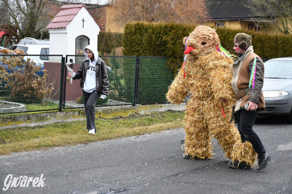 Wojska: Niedźwiedź, korowód i koniec karnawału