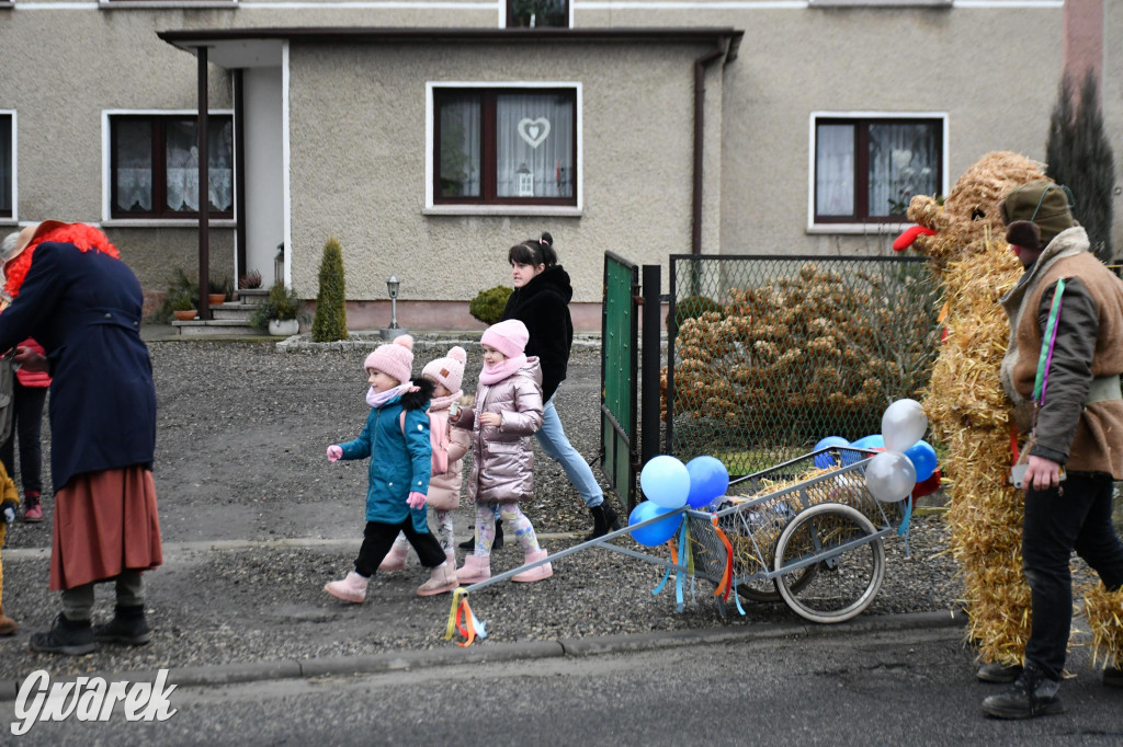 Wojska: Niedźwiedź, korowód i koniec karnawału