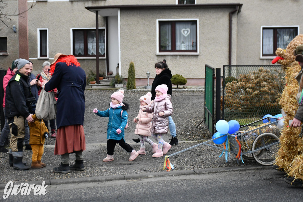 Wojska: Niedźwiedź, korowód i koniec karnawału