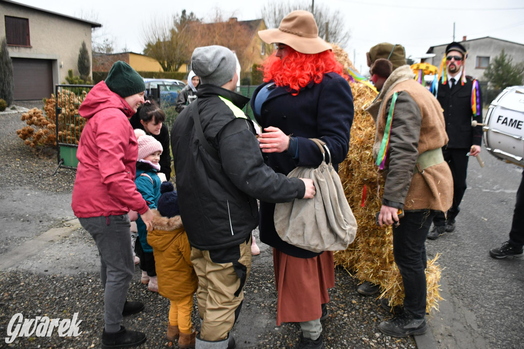 Wojska: Niedźwiedź, korowód i koniec karnawału
