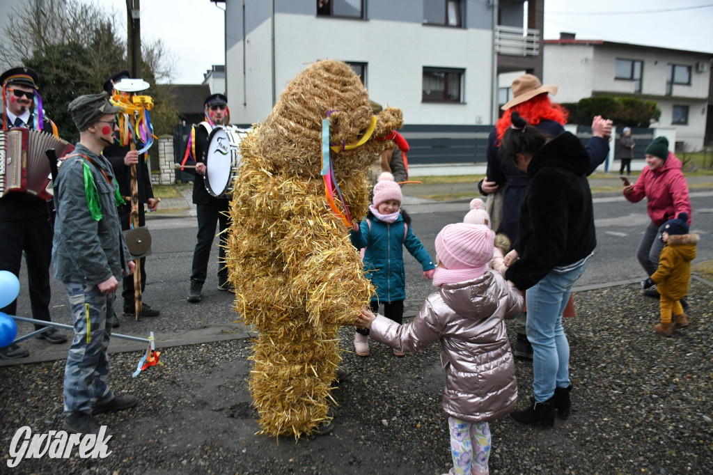 Wojska: Niedźwiedź, korowód i koniec karnawału