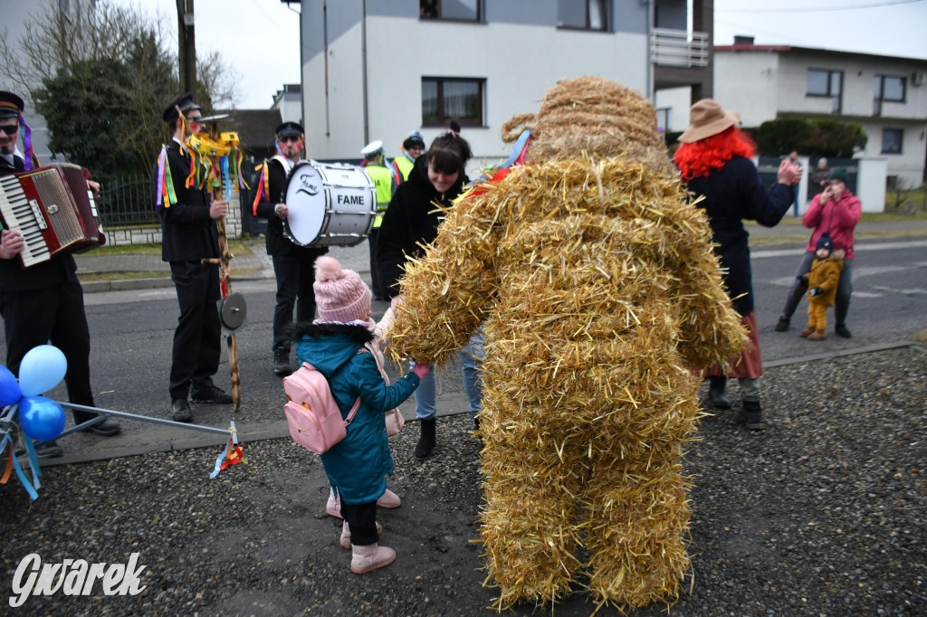 Wojska: Niedźwiedź, korowód i koniec karnawału