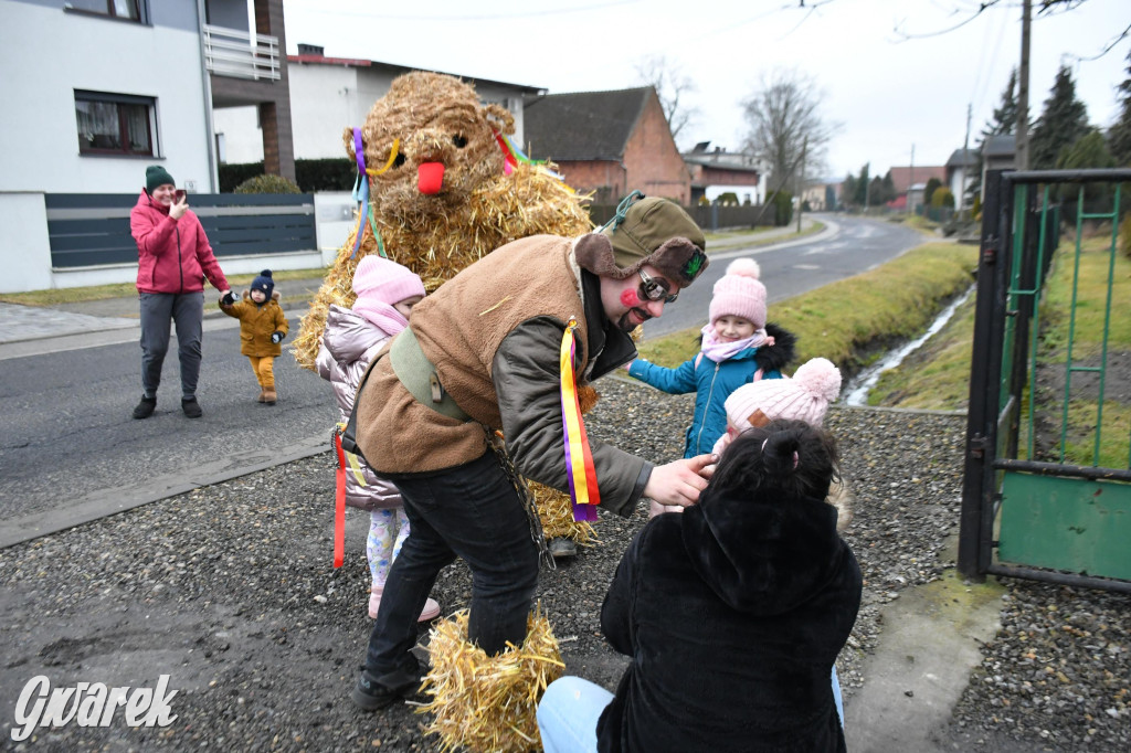 Wojska: Niedźwiedź, korowód i koniec karnawału