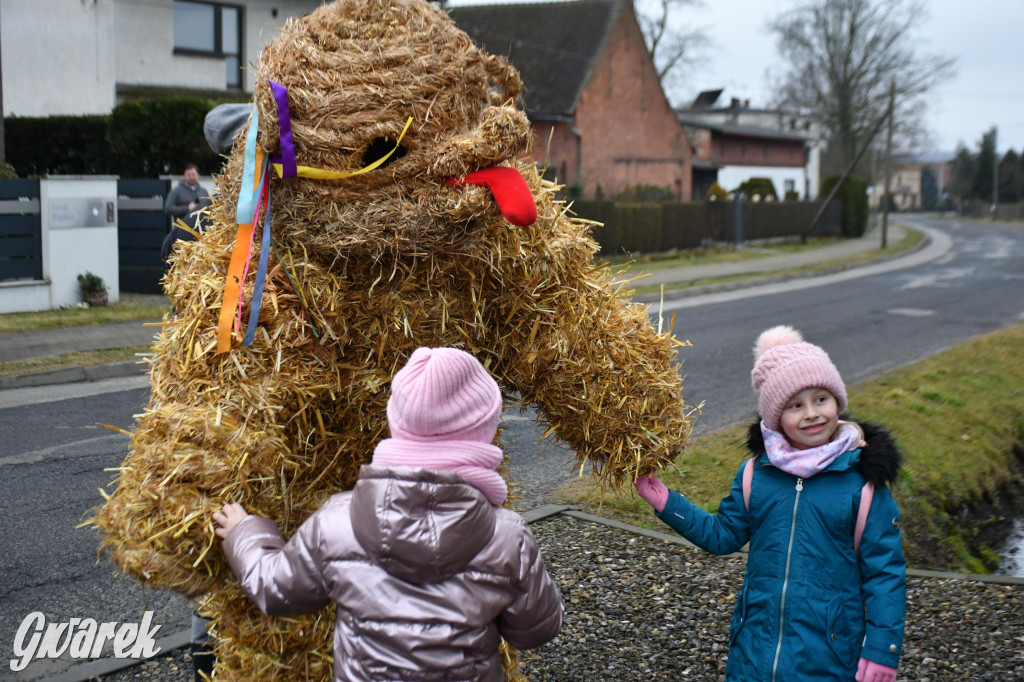Wojska: Niedźwiedź, korowód i koniec karnawału