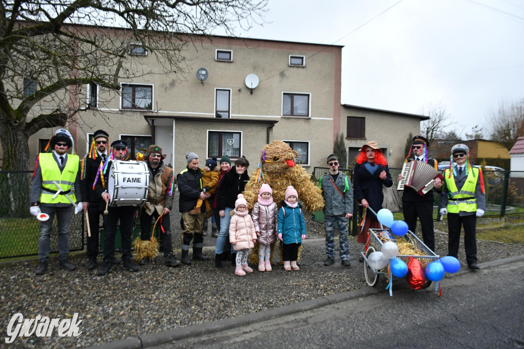 Wojska: Niedźwiedź, korowód i koniec karnawału