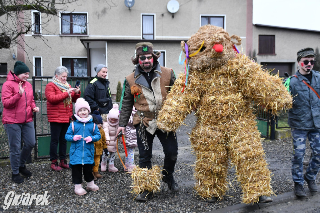Wojska: Niedźwiedź, korowód i koniec karnawału