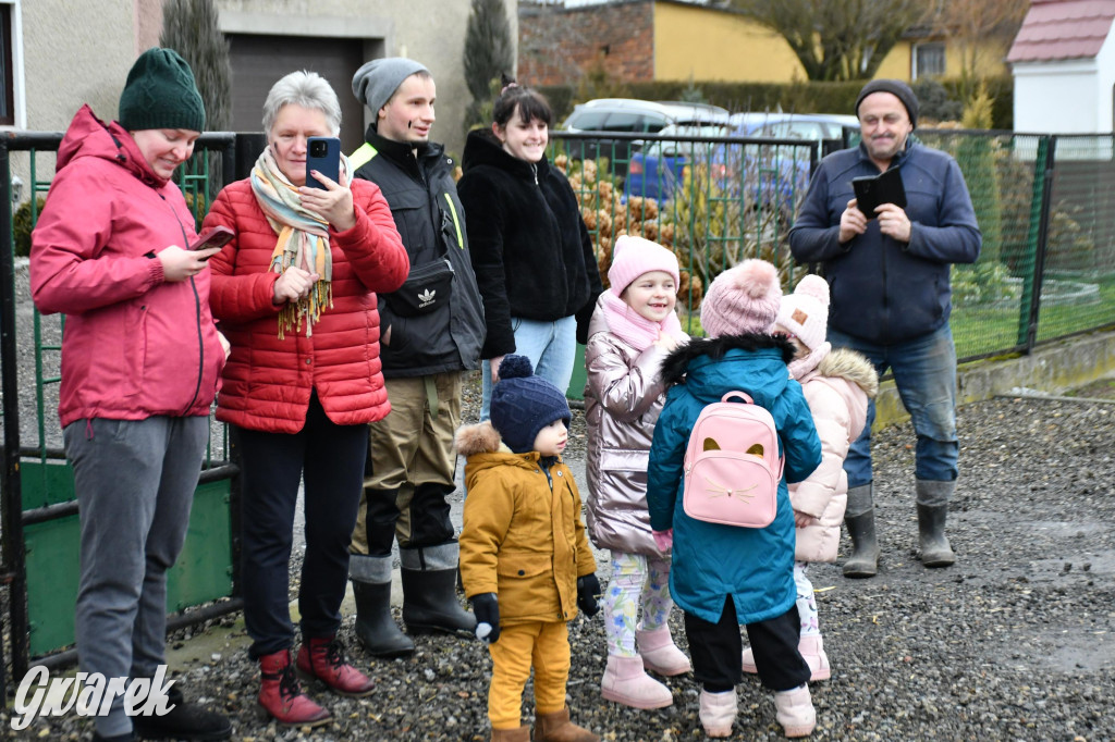 Wojska: Niedźwiedź, korowód i koniec karnawału