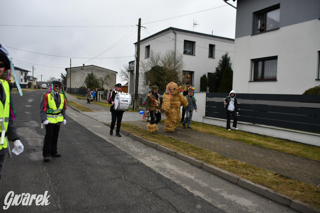Wojska: Niedźwiedź, korowód i koniec karnawału