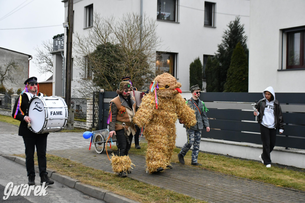 Wojska: Niedźwiedź, korowód i koniec karnawału
