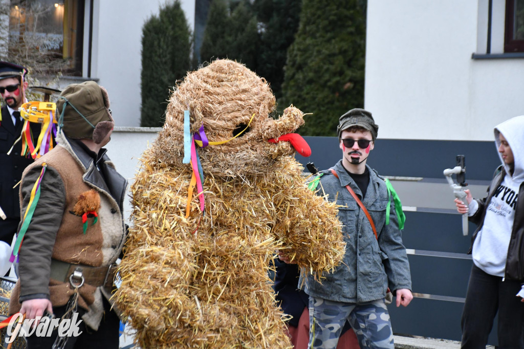 Wojska: Niedźwiedź, korowód i koniec karnawału