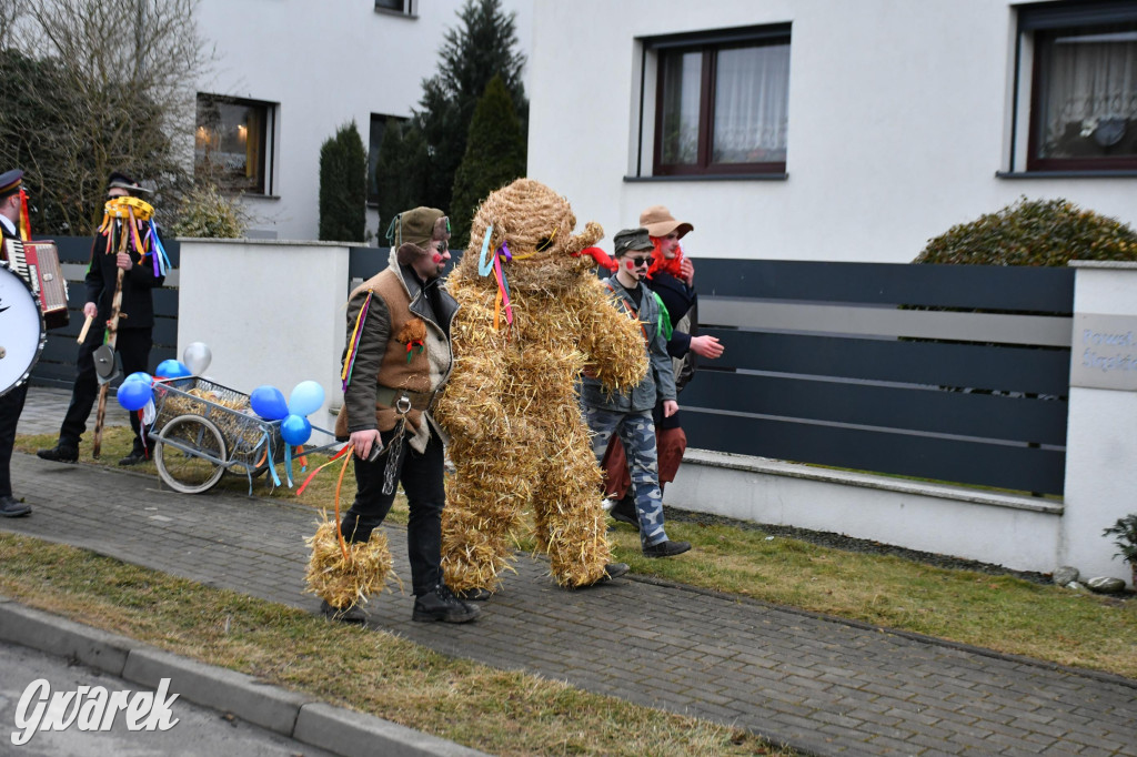 Wojska: Niedźwiedź, korowód i koniec karnawału