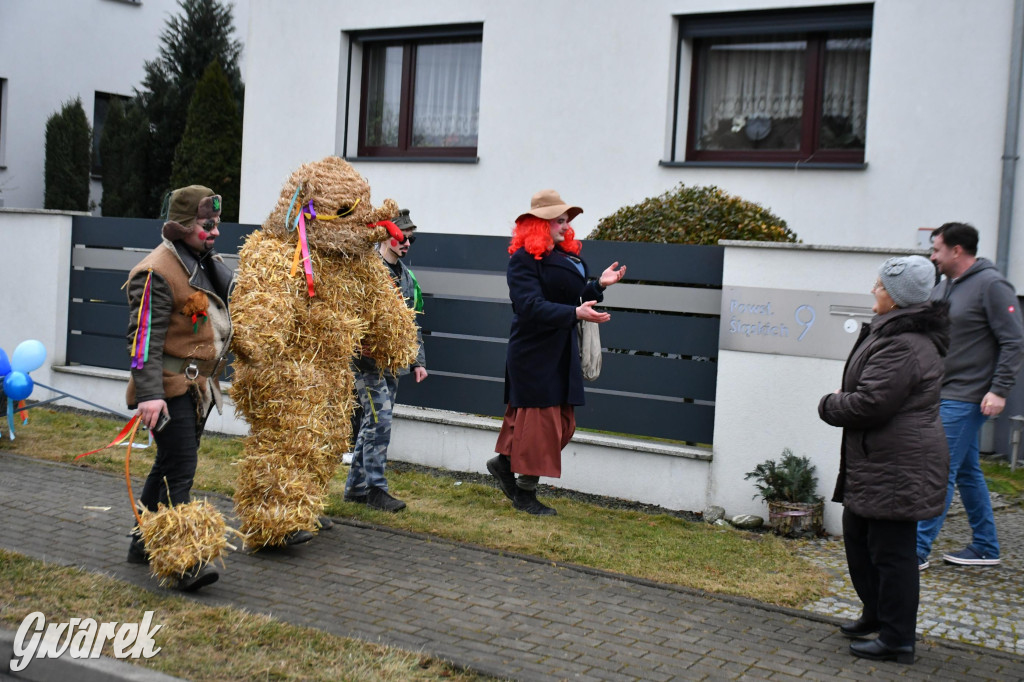 Wojska: Niedźwiedź, korowód i koniec karnawału