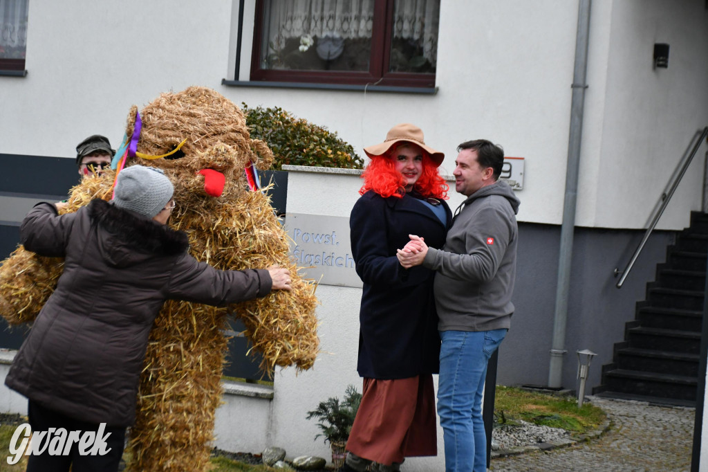 Wojska: Niedźwiedź, korowód i koniec karnawału