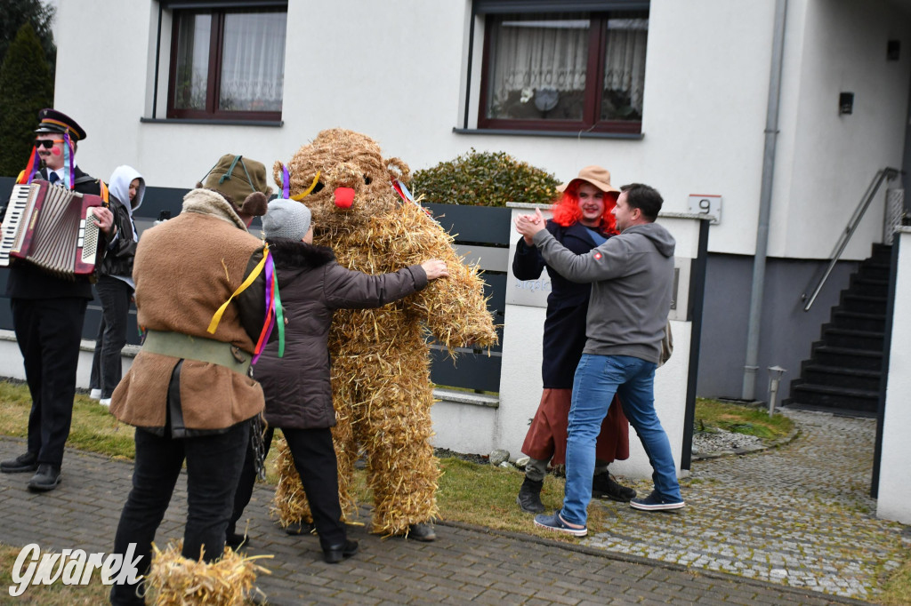 Wojska: Niedźwiedź, korowód i koniec karnawału