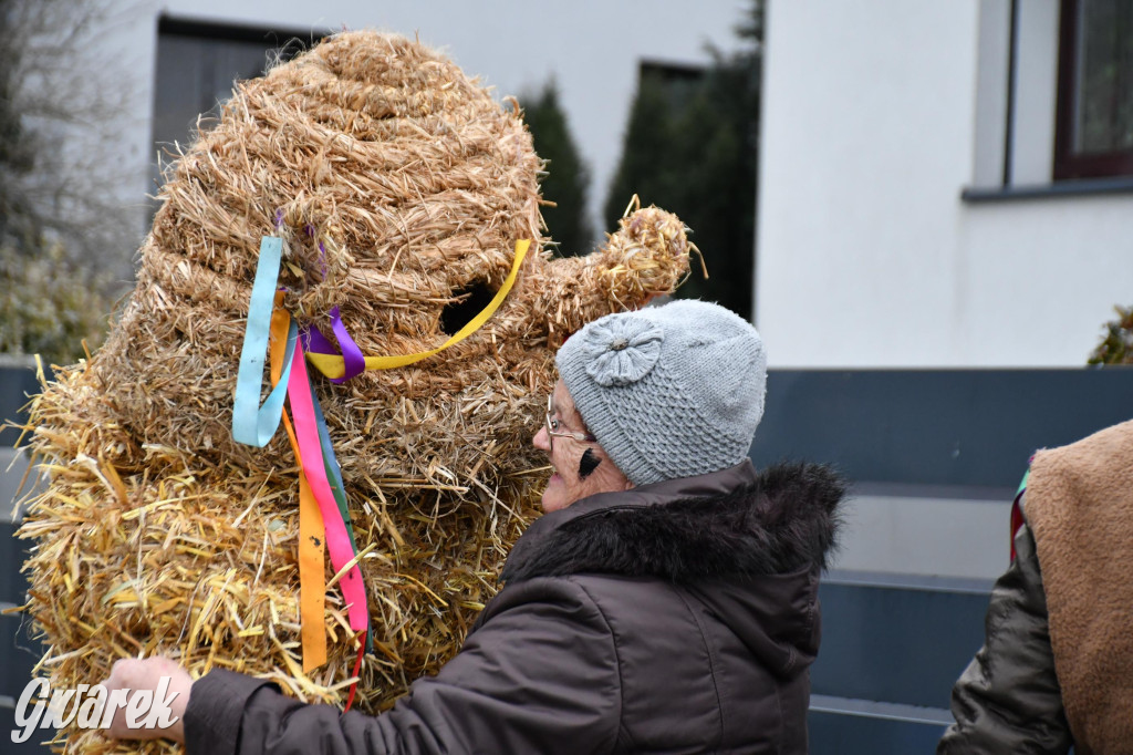 Wojska: Niedźwiedź, korowód i koniec karnawału