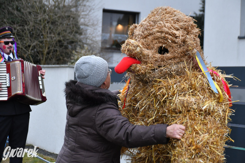 Wojska: Niedźwiedź, korowód i koniec karnawału