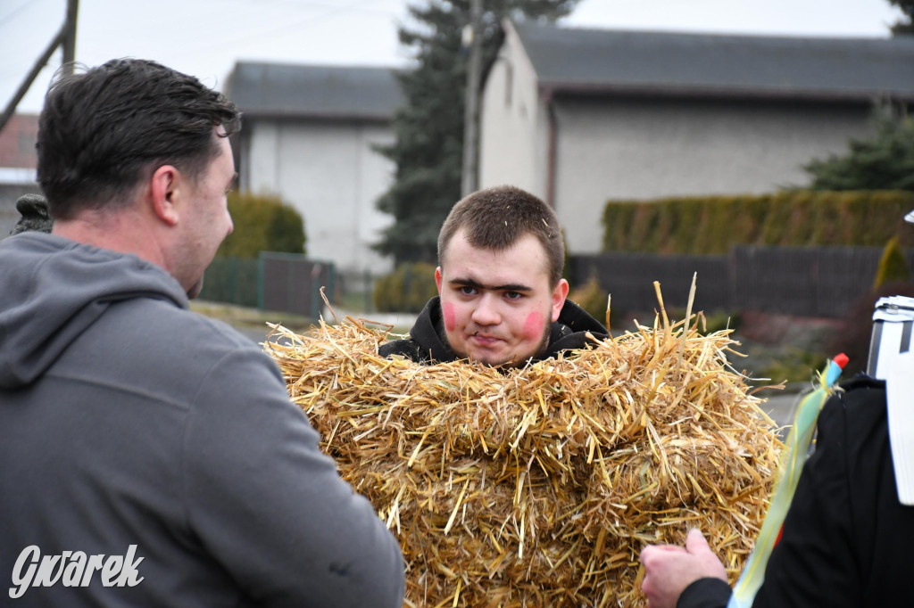 Wojska: Niedźwiedź, korowód i koniec karnawału