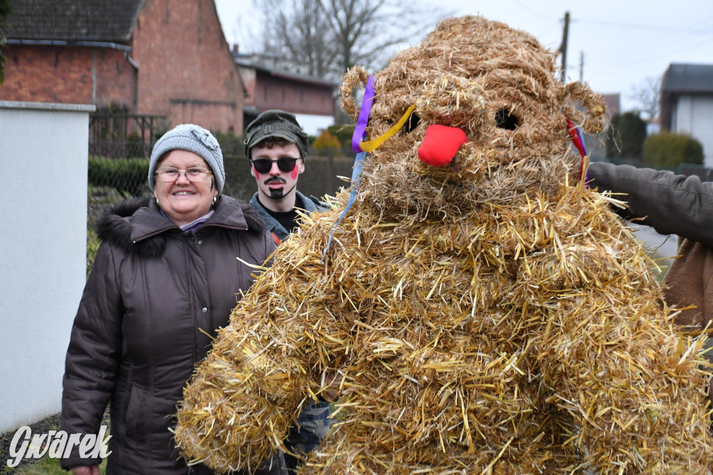 Wojska: Niedźwiedź, korowód i koniec karnawału
