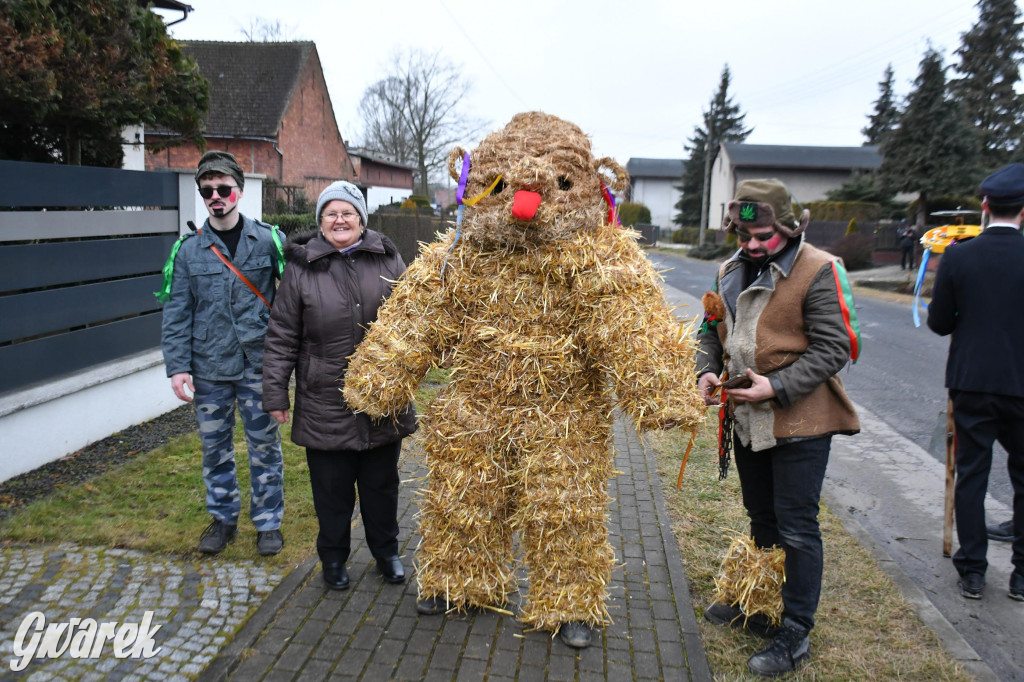 Wojska: Niedźwiedź, korowód i koniec karnawału