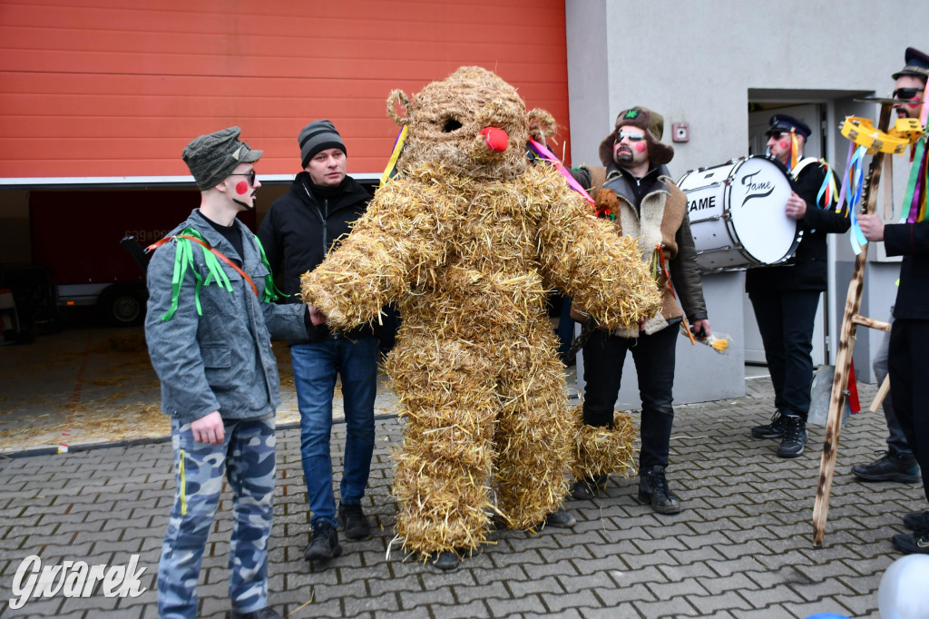 Wojska: Niedźwiedź, korowód i koniec karnawału