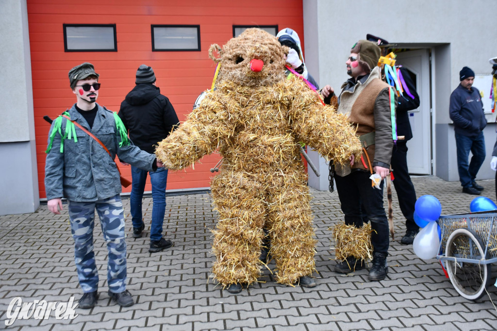 Wojska: Niedźwiedź, korowód i koniec karnawału