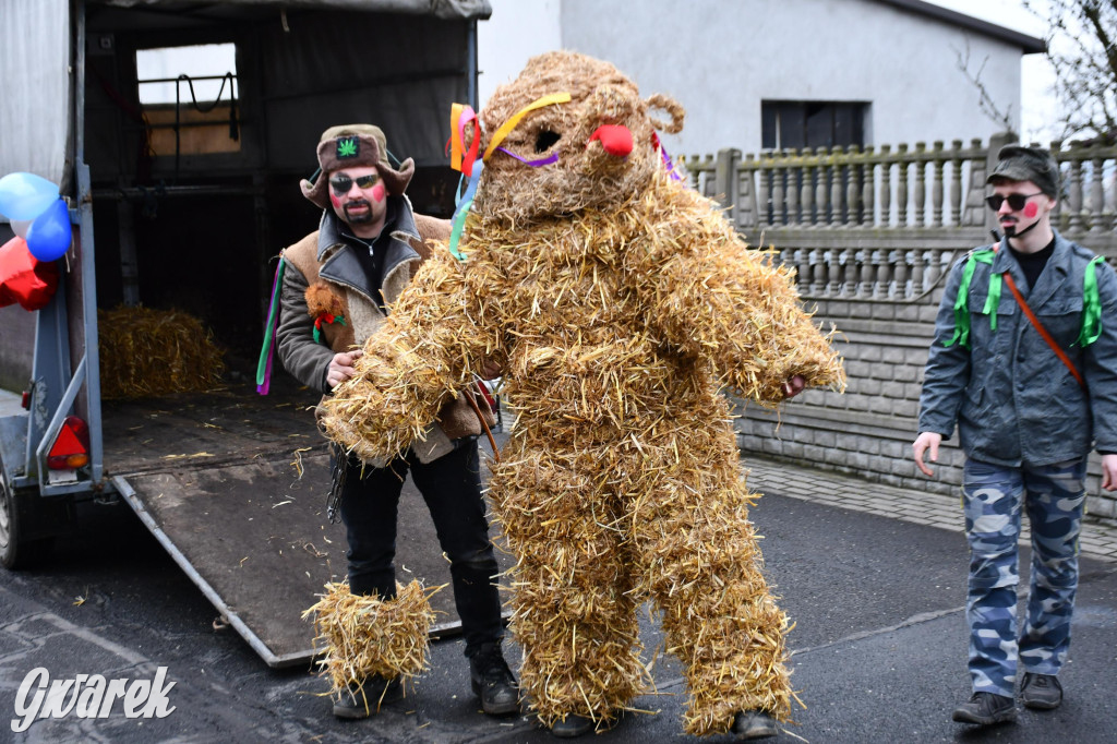 Wojska: Niedźwiedź, korowód i koniec karnawału
