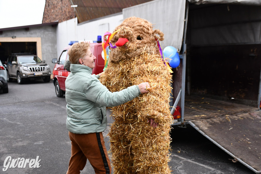 Wojska: Niedźwiedź, korowód i koniec karnawału