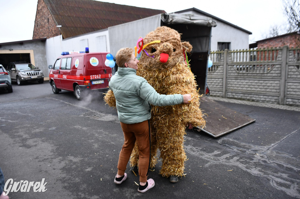 Wojska: Niedźwiedź, korowód i koniec karnawału