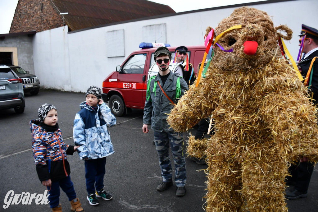 Wojska: Niedźwiedź, korowód i koniec karnawału