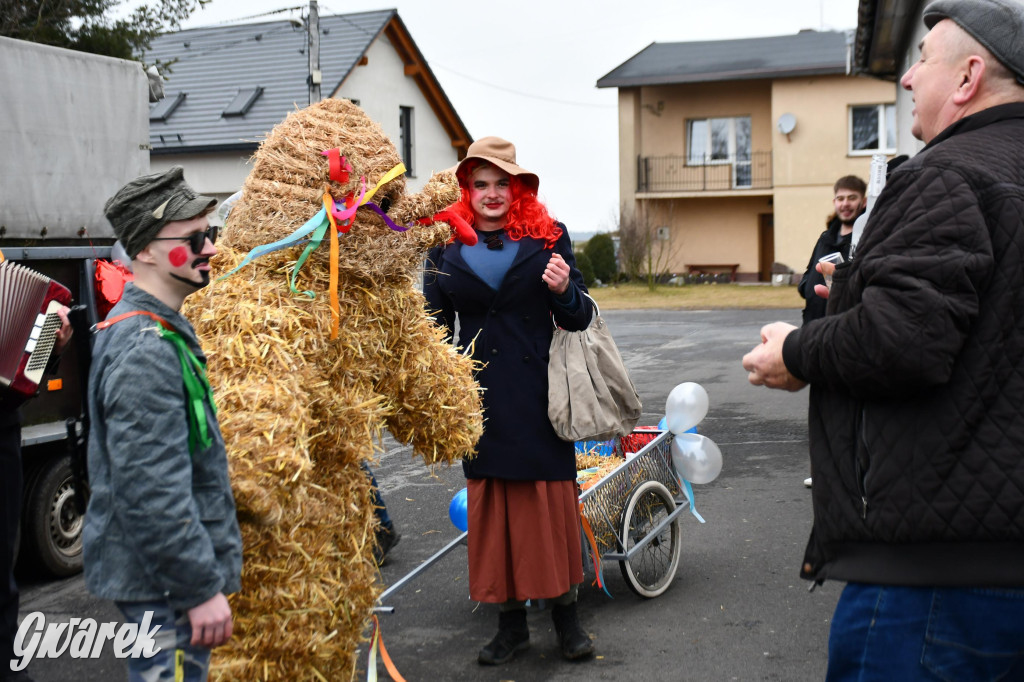 Wojska: Niedźwiedź, korowód i koniec karnawału